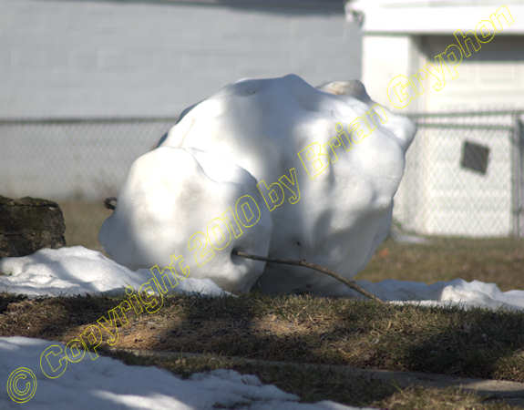 deadsnowman89gryphon deadsnowman89gryphon