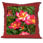 Suede Pillow; rosa 'Rainbow Sorbet'