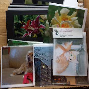 example assortment of cards