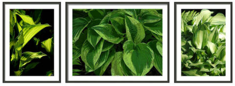 mock up of the three images